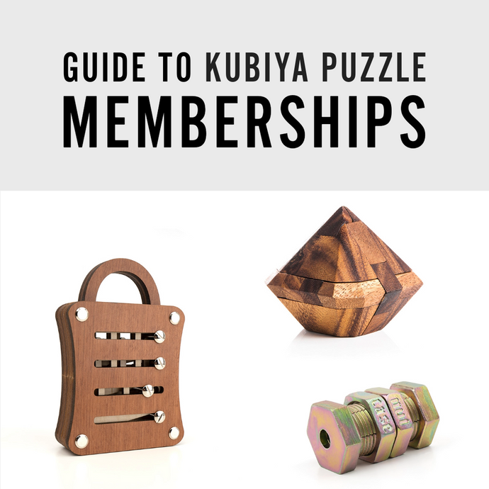 Ready to Level Up? Explore the Challenge of Puzzle Subscription Boxes