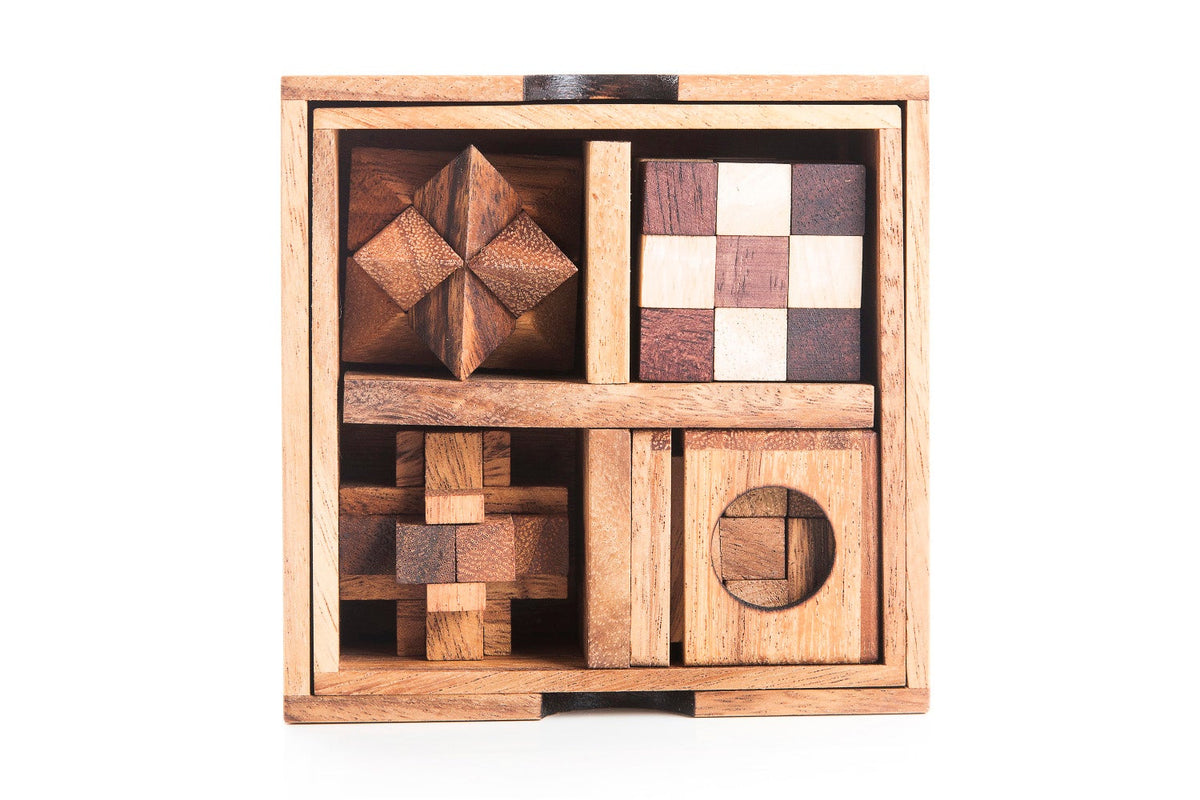 5 Mechanical Puzzle Set - The Perfect Gift for Puzzle Lovers