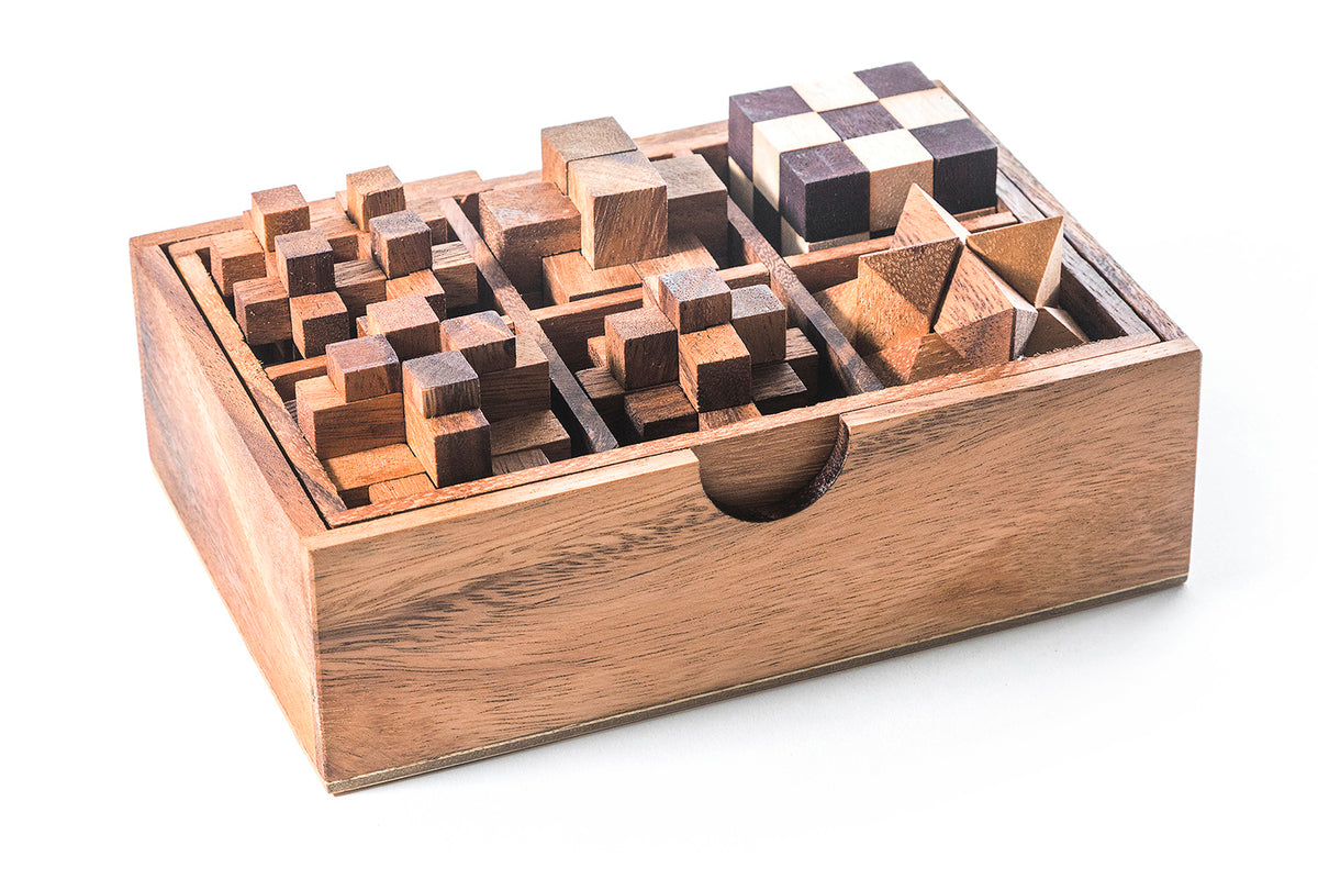 6 STEM Puzzle Gift Set - Wooden Puzzle Brain Teaser