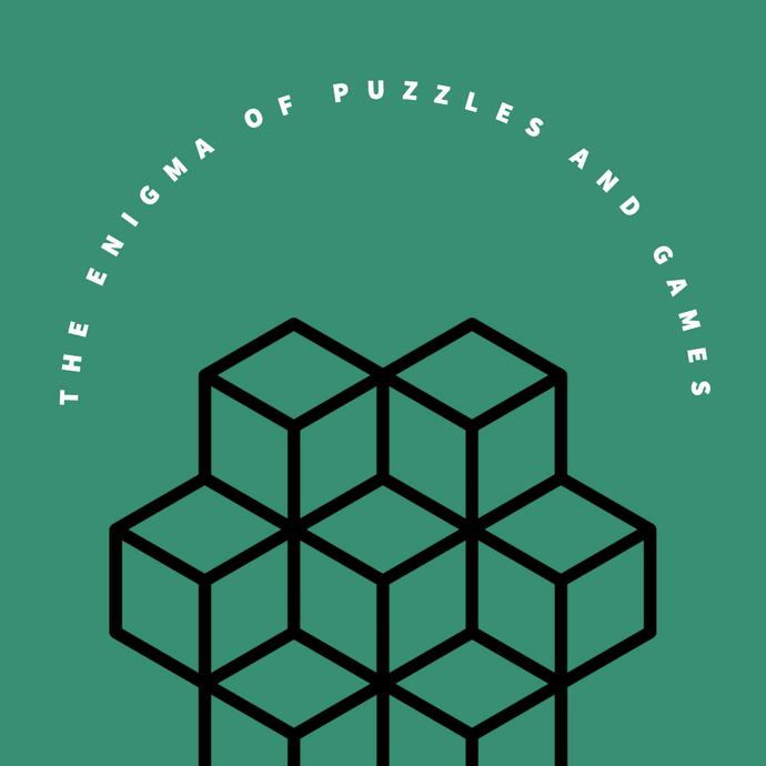 The Enigma of Puzzles and Games: A Journey Through Time and Mind