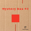 Mystery Puzzle Box #3