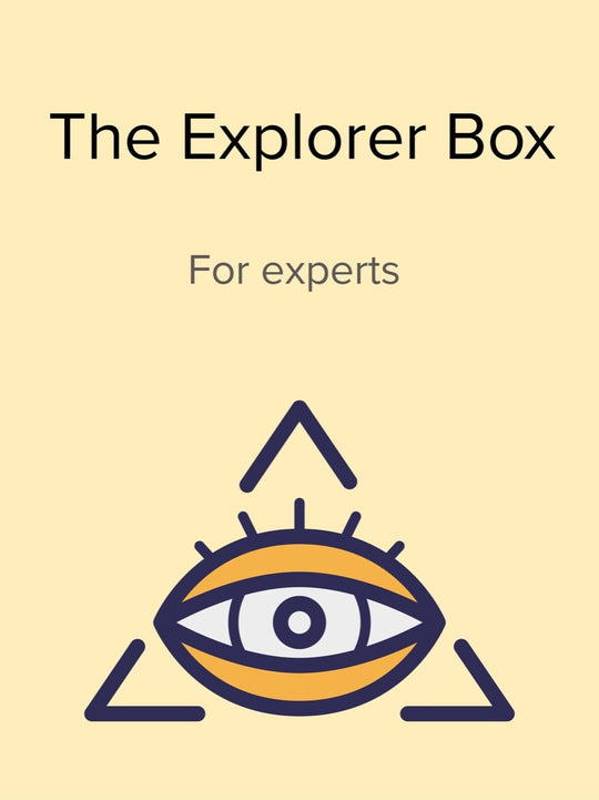 The Explorer Subscription Puzzle Box For Experts - Difficult Puzzles For Adults